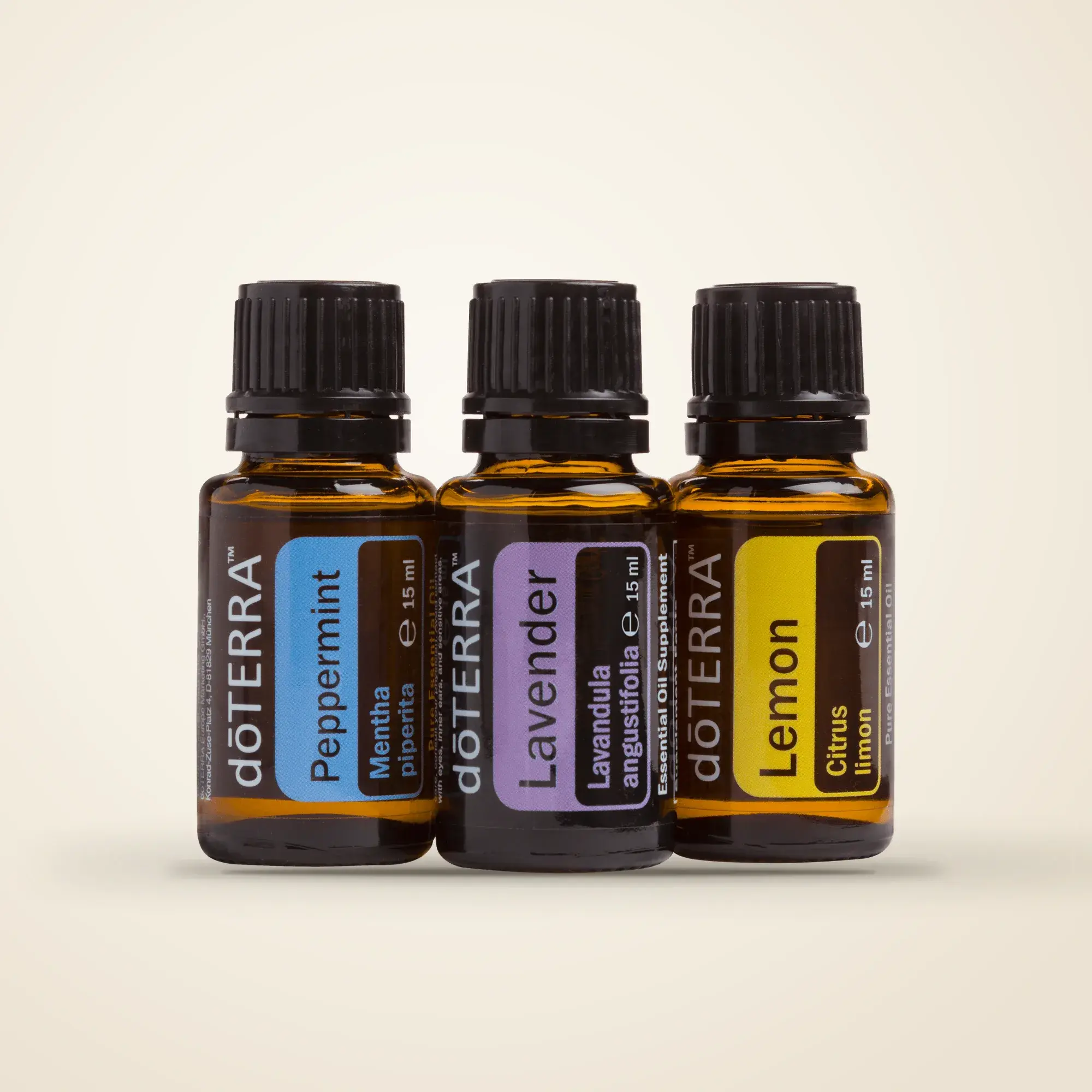 Beginner's Trio Kit